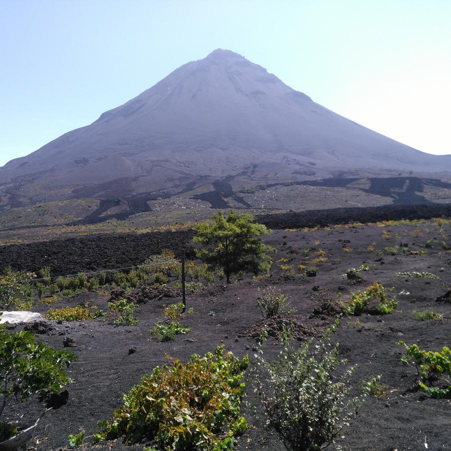 Portela Casa Alcindo Bed & Breakfast エクステリア 写真